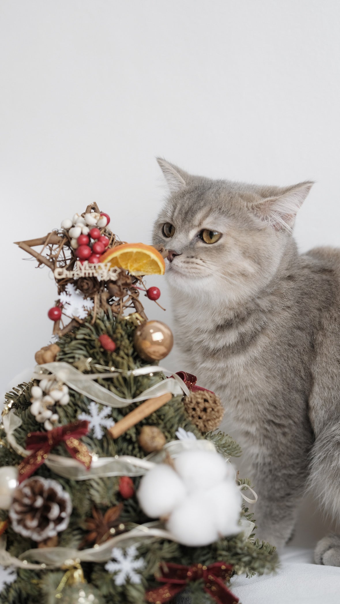 Christmas