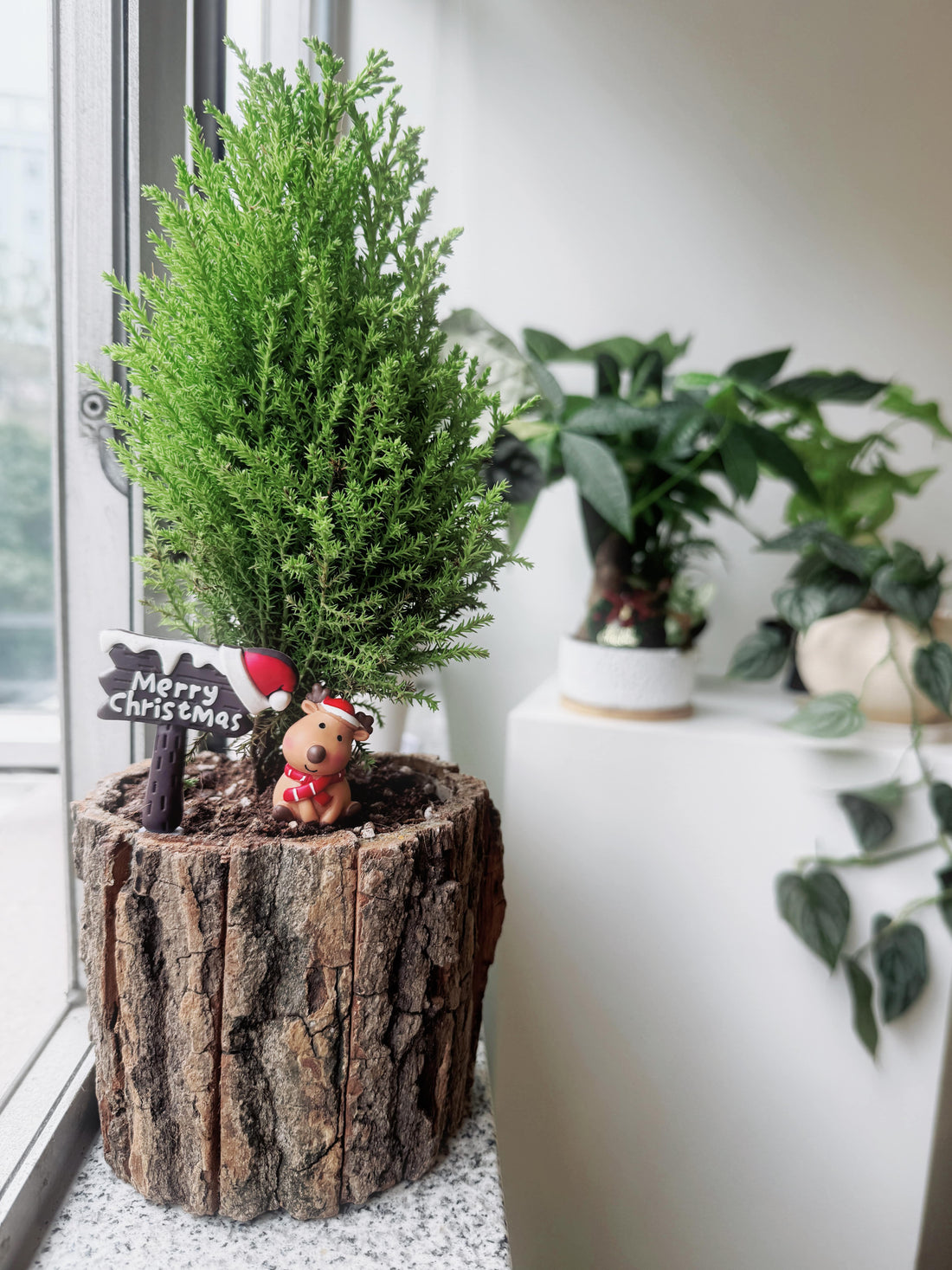 不是儲夠了錢，而是存夠了勇氣：我的花藝工作室開幕日記