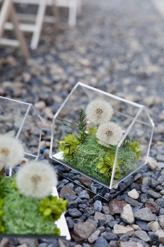 Preserved Dandelion House 永生蒲公英花房｜定格吹不散的願望