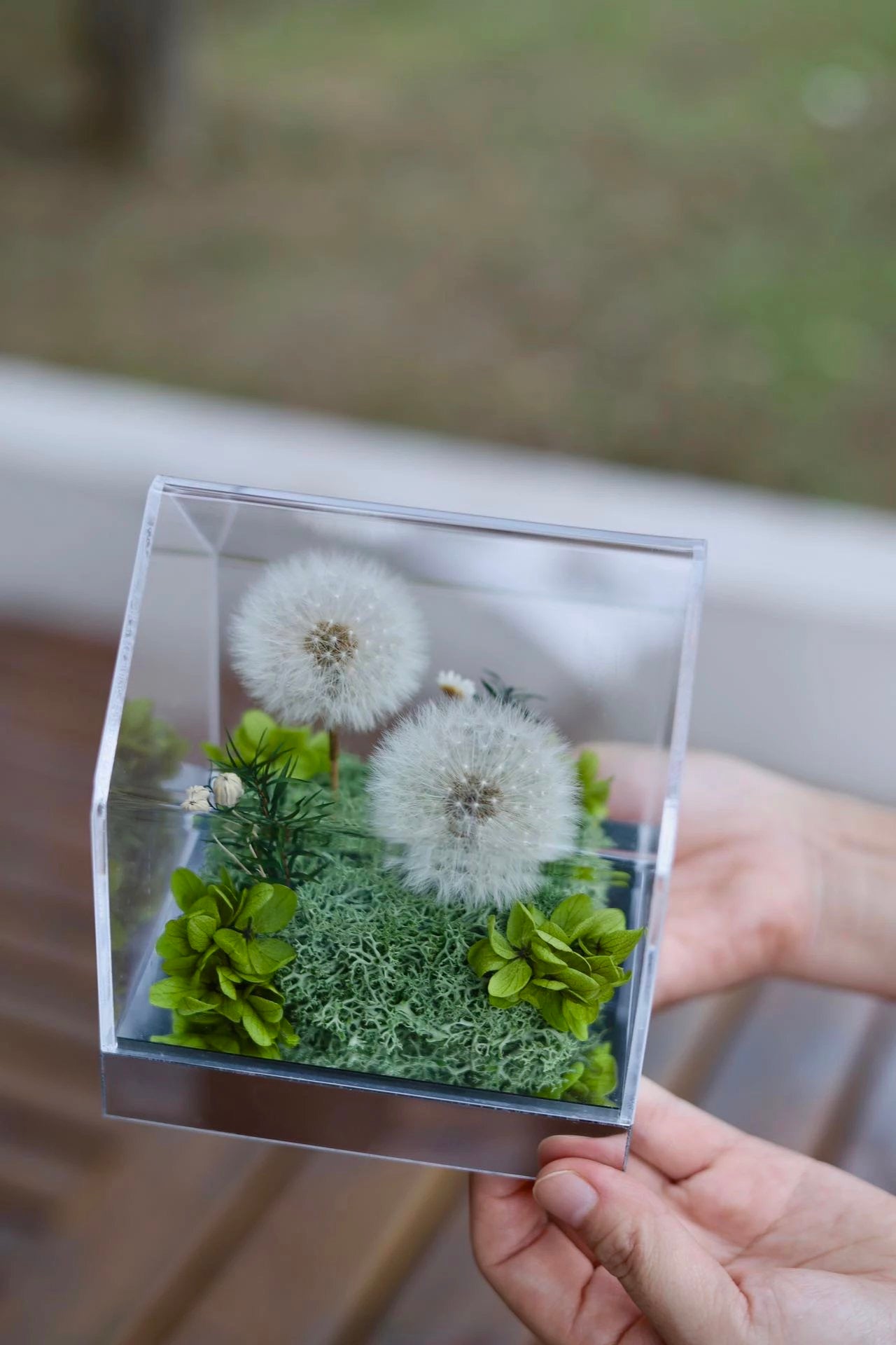 Preserved Dandelion House 永生蒲公英花房｜定格吹不散的願望