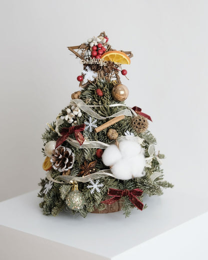 [Early Bird 預訂] 丹麥貴族松聖誕樹/花環(不含裝飾) Denmark Noble Fir Christmas Tree (Without Decoration)